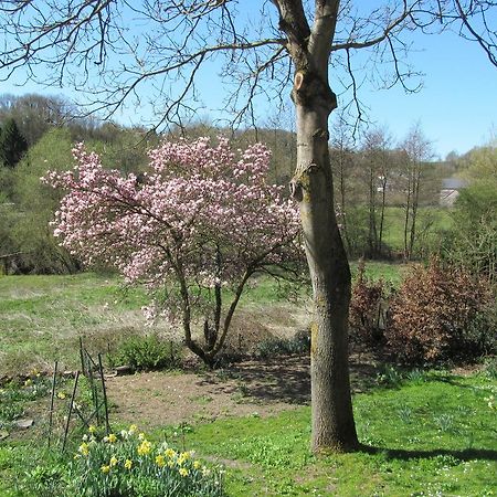 Les Chevrefeuilles Villa Walcourt Rom bilde